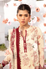 MARIA B M Basics 2025 | MB-CUS25-708A