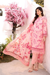 MARIA B M Basics 2025 | MB-CUS25-709A