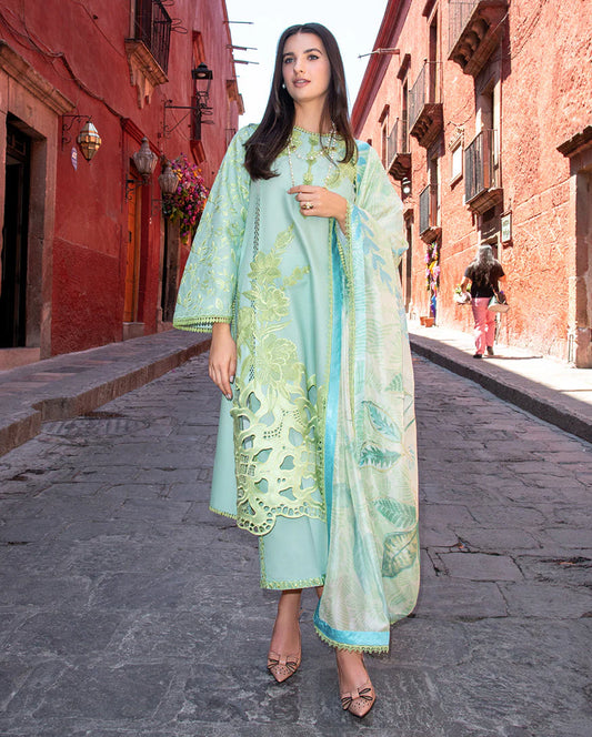 Mushq Odyssey | Lawn 2026 | Paloma
