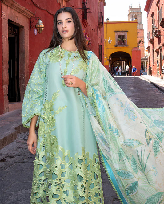 Mushq Odyssey | Lawn 2026 | Paloma
