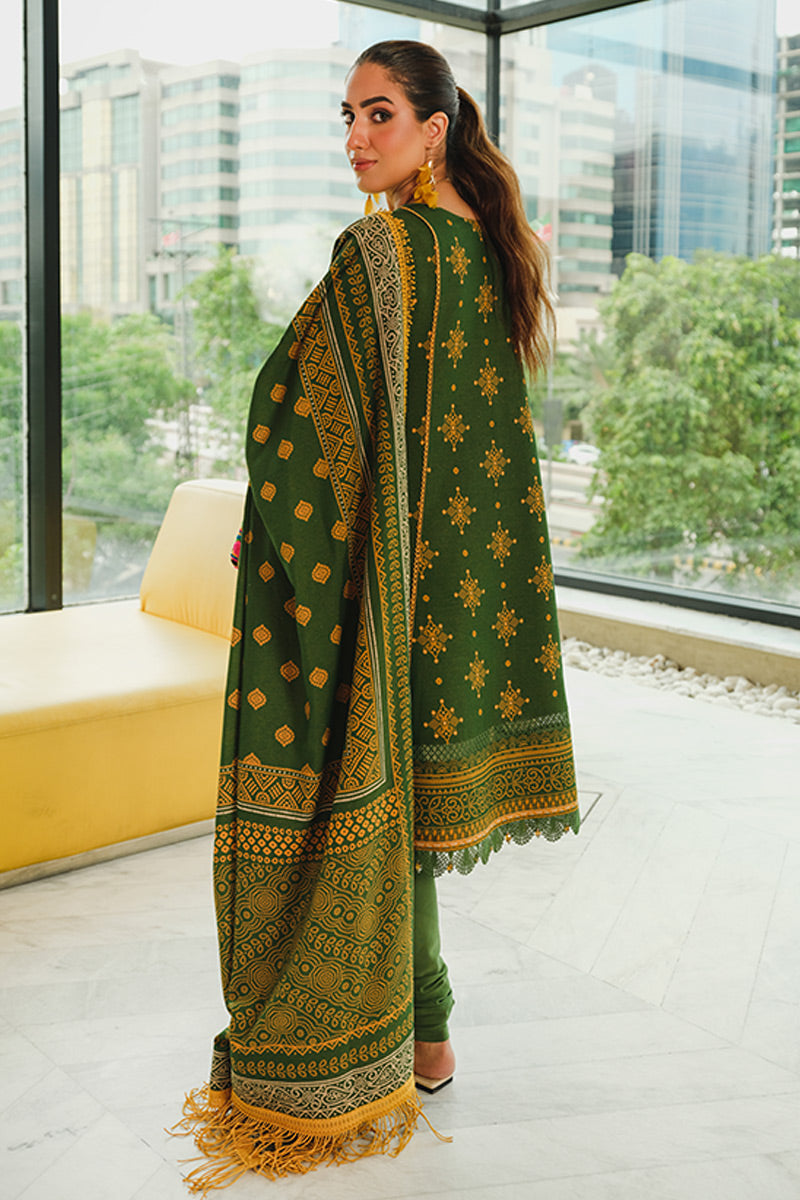 Rang Rasiya Embroidered Winter | ZEENAT