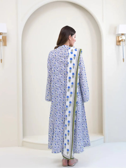 Agha Noor Lawn 2024