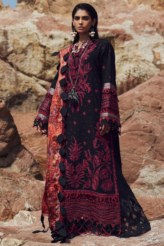 Elan Winter Collection