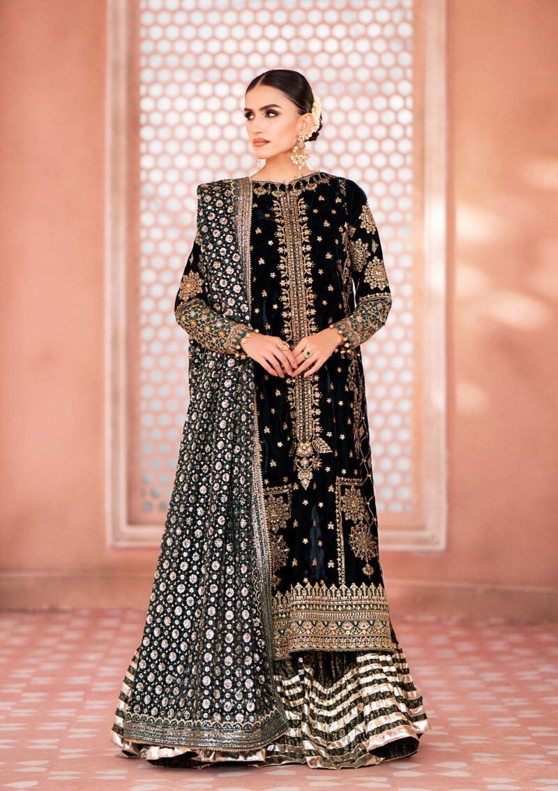 Aik Atelier Zardozi Velvet