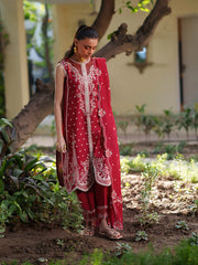 Bin Ilyas Heritage Dore Summer 2026 ||176-A