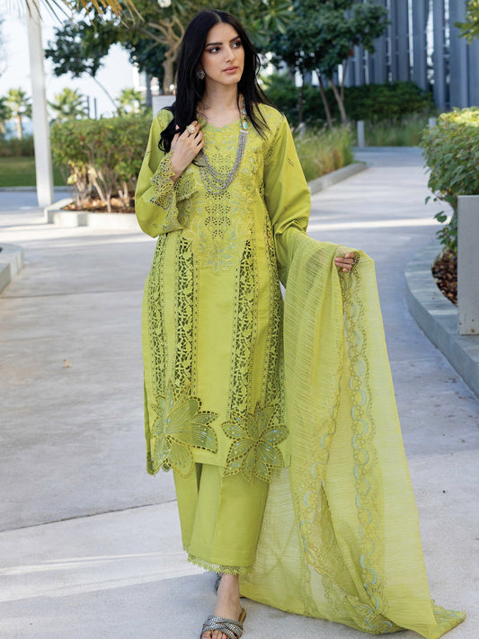Rang Rasiya Carnation Embroidered Lawn 2025 | D-02