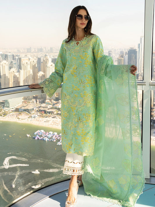 Rang Rasiya Carnation Embroidered Lawn 2025 | D-06