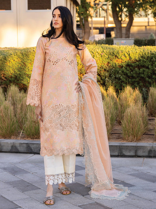 Rang Rasiya Carnation Embroidered Lawn 2025 | D-04