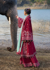 Hussain Rehar Luxury Lawn 2025 | Jeevan | Mahogany
