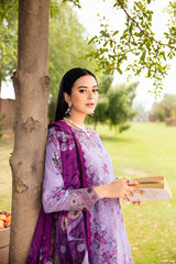 Rangrez by Ramsha 2025 | N-606