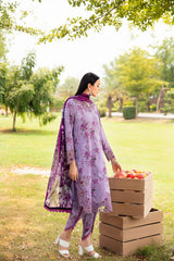 Rangrez by Ramsha 2025 | N-606