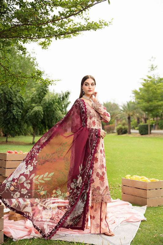 Rangrez by Ramsha 2025 | N-605