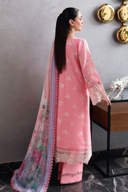 Ramsha Andaaz Collection 2026 Vol 14 | Z-1404